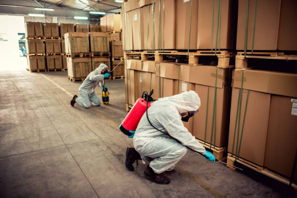 Best Rat Extermination Near Me  in Clarkston Heights Vineland, WA
