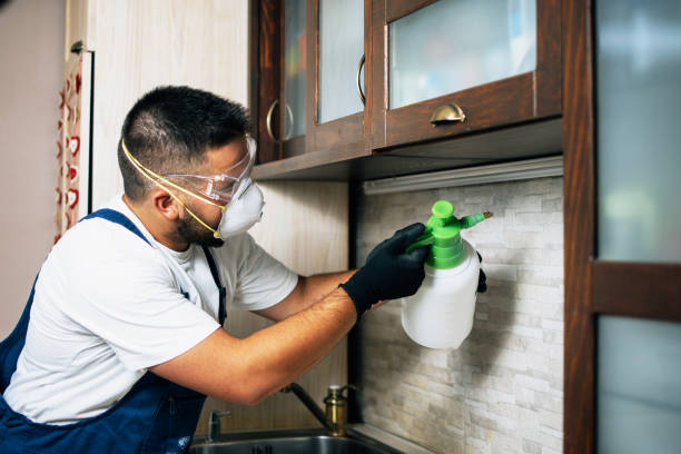 Trusted Clarkston Heights Vineland, WA Pest Control Experts