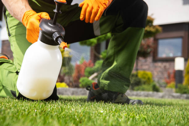 Best Affordable Pest Control Services  in Clarkston Heights Vineland, WA