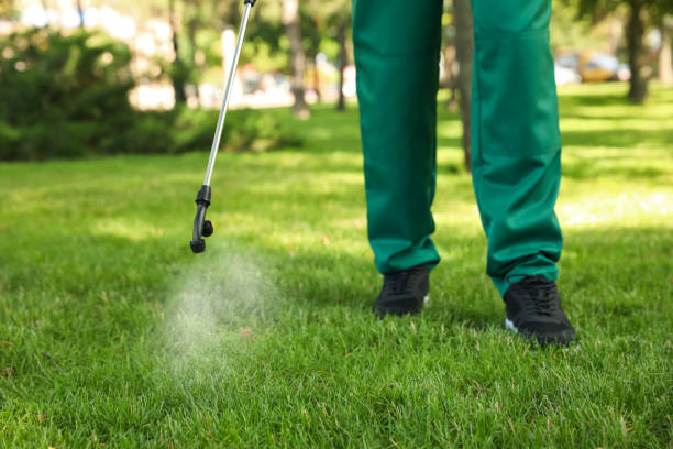 Best Flea Control Services  in Clarkston Heights Vineland, WA