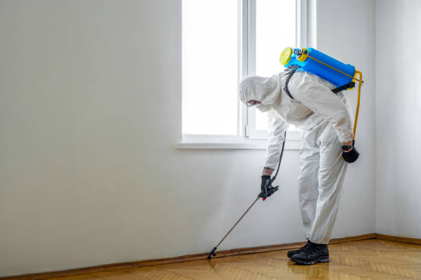 Best Rat Extermination Near Me  in Clarkston Heights Vineland, WA