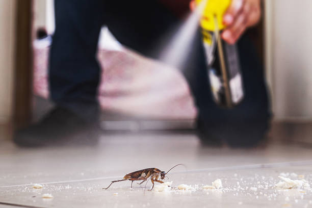Best Best Pest Control Companies  in Clarkston Heights Vineland, WA