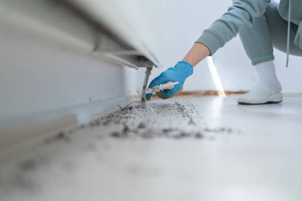 Best Commercial Pest Control Services  in Clarkston Heights Vineland, WA